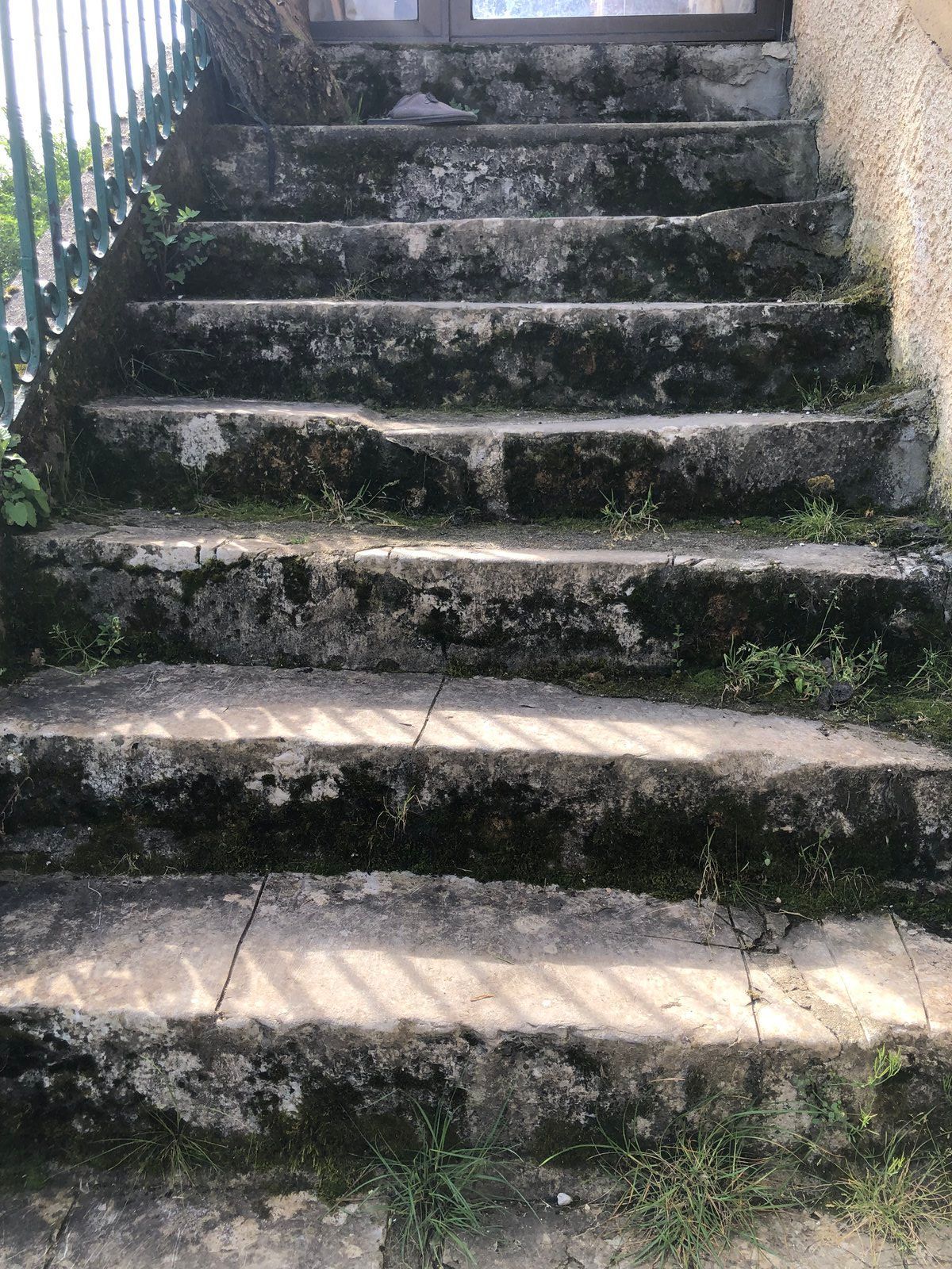 Escalier en béton recouvert de mousse, en plein soleil, avec une rampe métallique à gauche.