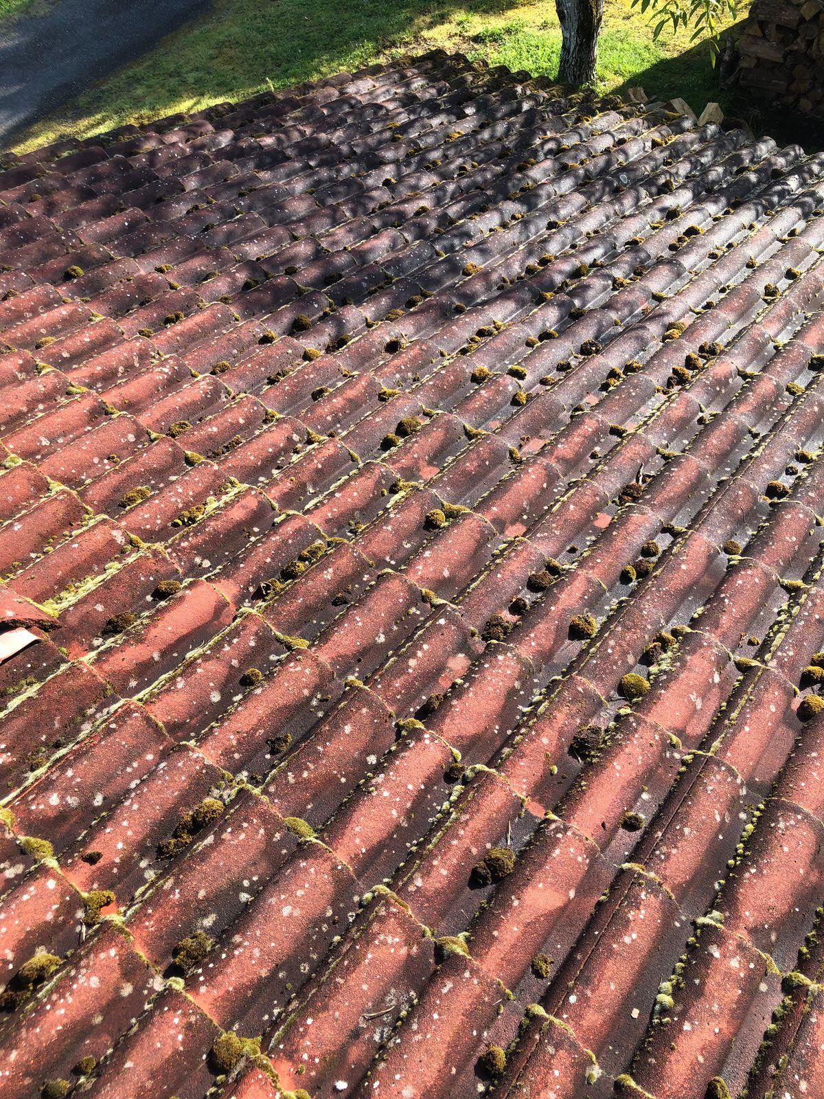 Toit de tuiles rouges recouvert de mousse et de débris sous un arbre