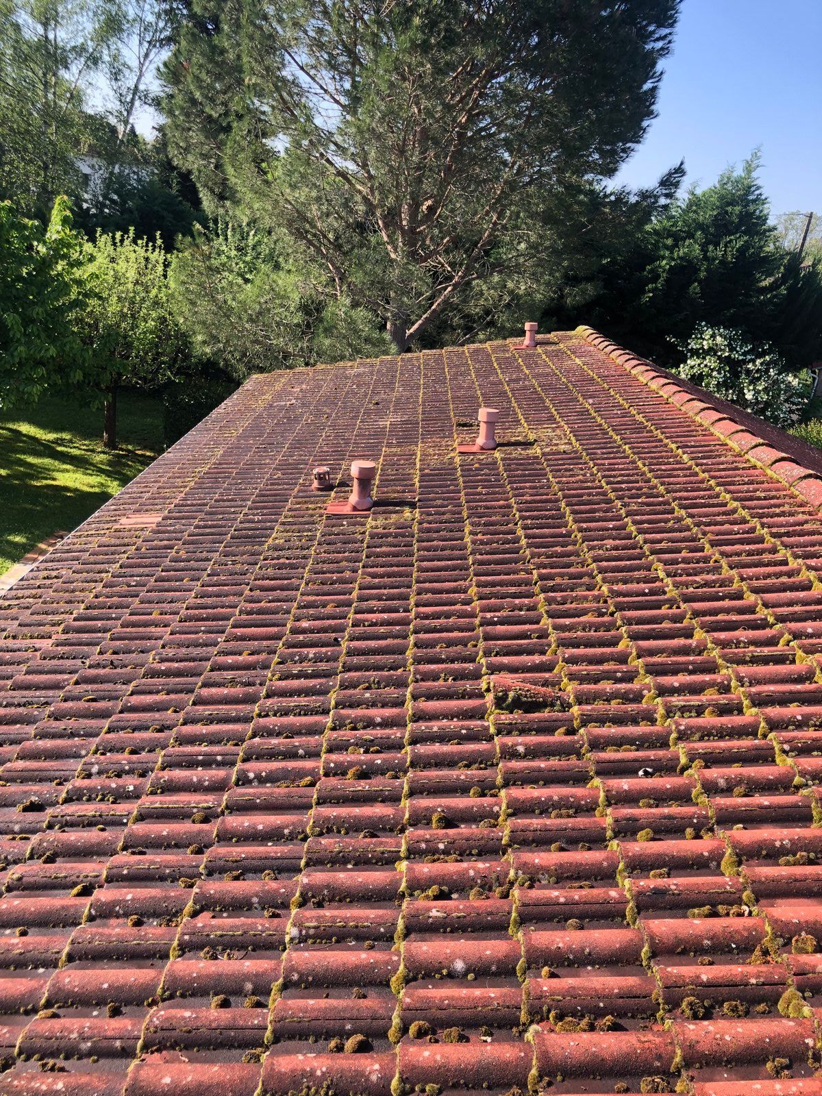 Toit de tuiles rouges recouvert de mousse et cheminée, entouré d'arbres verts sous un ciel dégagé.