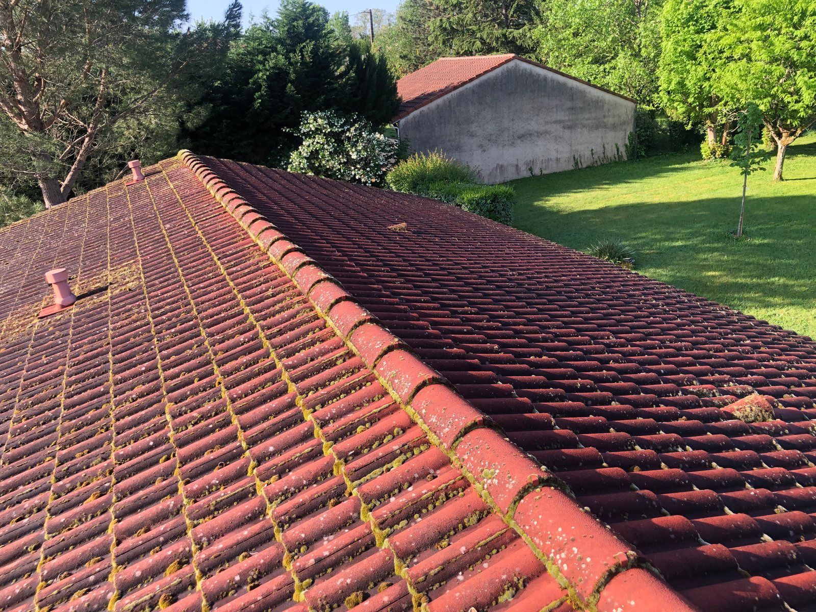 Toit de tuiles rouges avec lucarne, donnant sur des arbres verdoyants et un petit abri blanc dans une cour ensoleillée