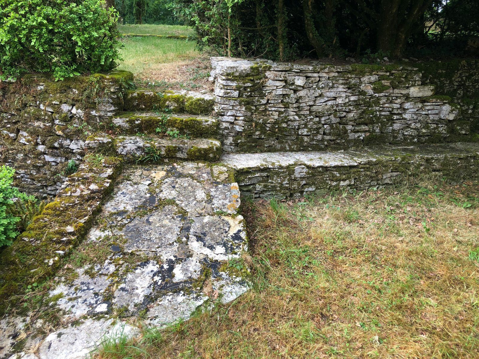 Escaliers de pierre et ruines moussues dans une zone herbeuse et boisée.