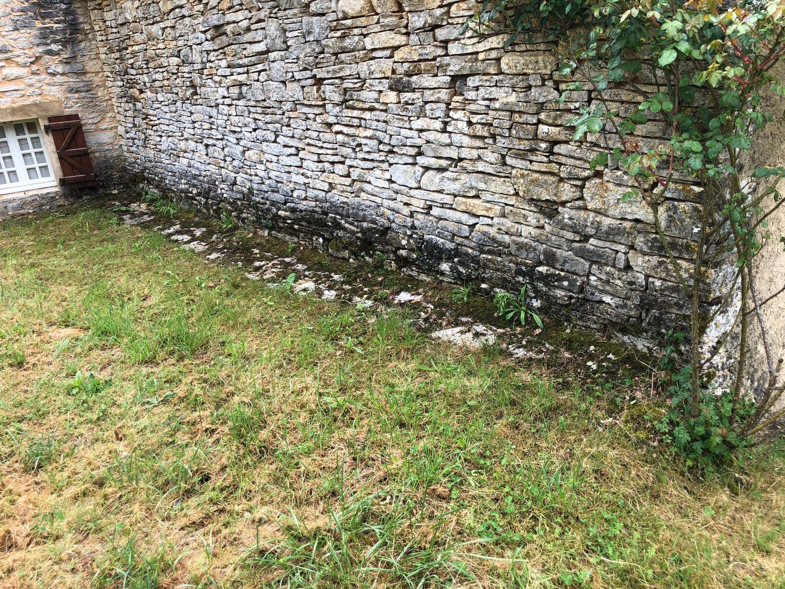 Mur de pierre recouvert de mousse et de lierre, bordant une cour gazonnée, avec un petit abri blanc sur le côté gauche.