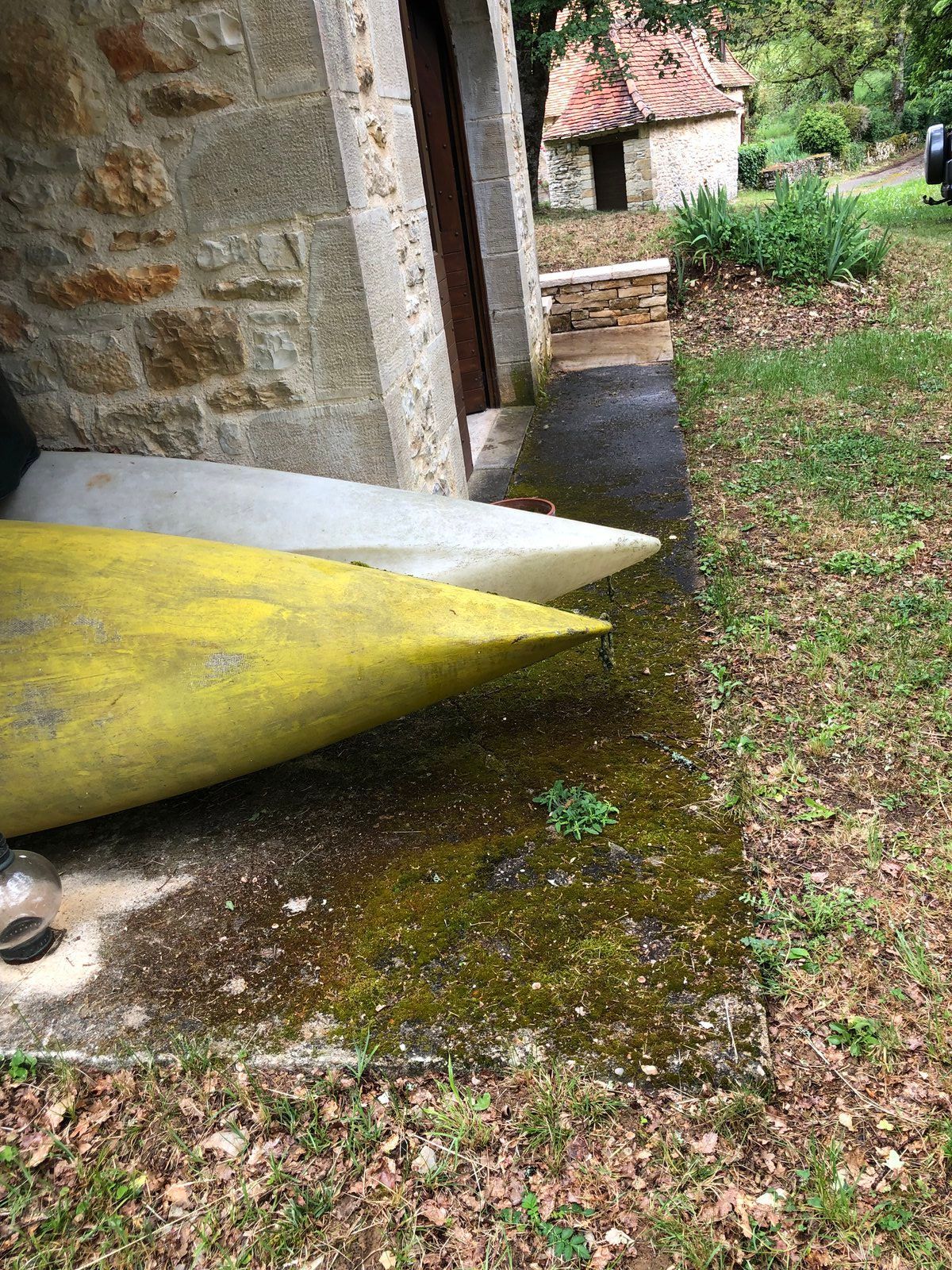 Rampe en mousse jaune à côté d'une porte en pierre, sur un sol moussu et humide jonché de feuilles mortes.
