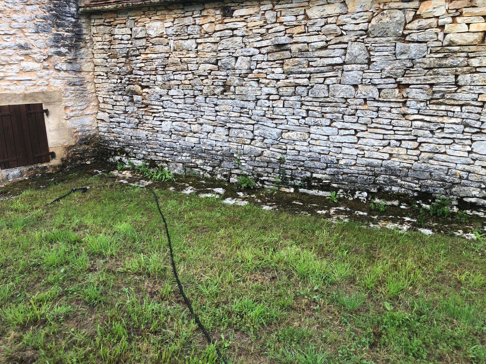Un mur de pierre borde une cour herbeuse, un câble sombre traînant au sol.