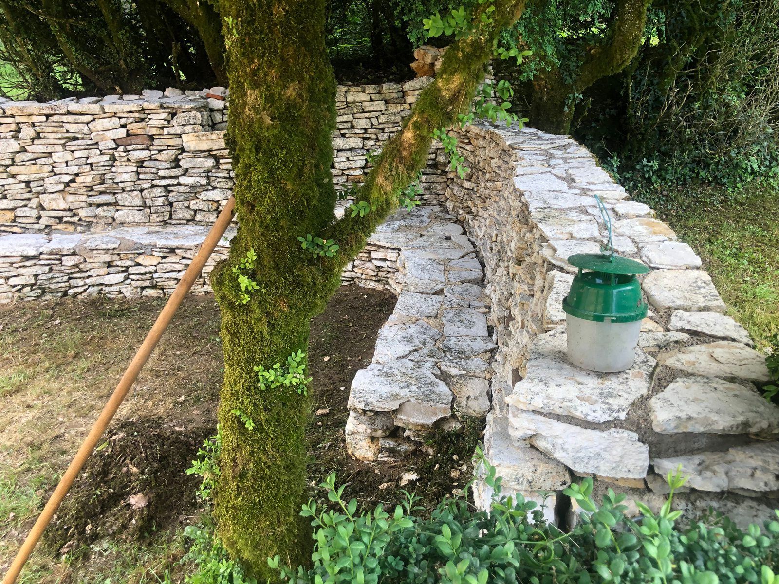 Évier extérieur en pierre près d'un arbre moussu et d'un muret, avec un seau à couvercle vert sur le rebord.
