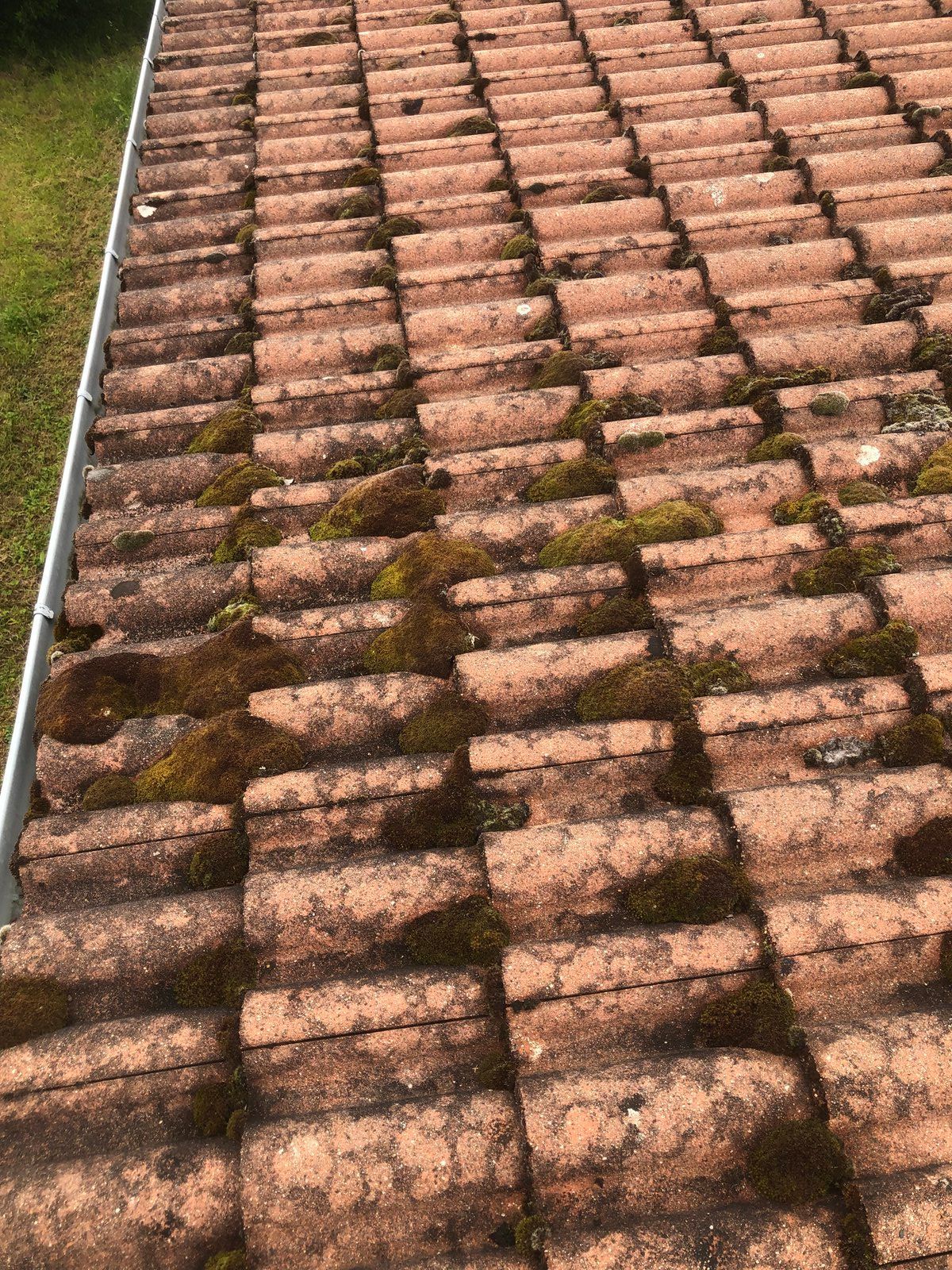 Gros plan sur un toit de tuiles en terre cuite avec de la mousse le long des arêtes.