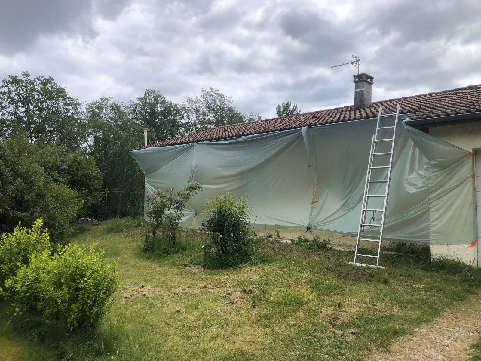 Maison recouverte d'une bâche verte en cours de réparation, avec une échelle appuyée contre le mur et des buissons dans la cour