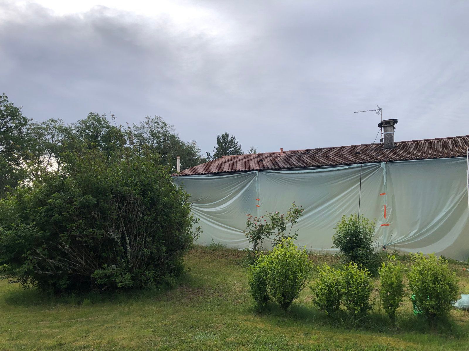 Cour arrière avec des buissons verts et une grande bâche ou un drap clair tendu le long d'une maison sous un ciel nuageux