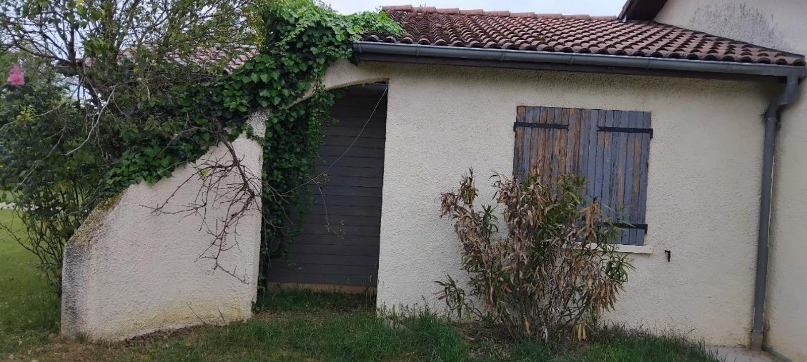 Petite maison rustique aux murs blancs, toit de tuiles, fenêtre à volets et vigne grimpante le long du côté gauche.