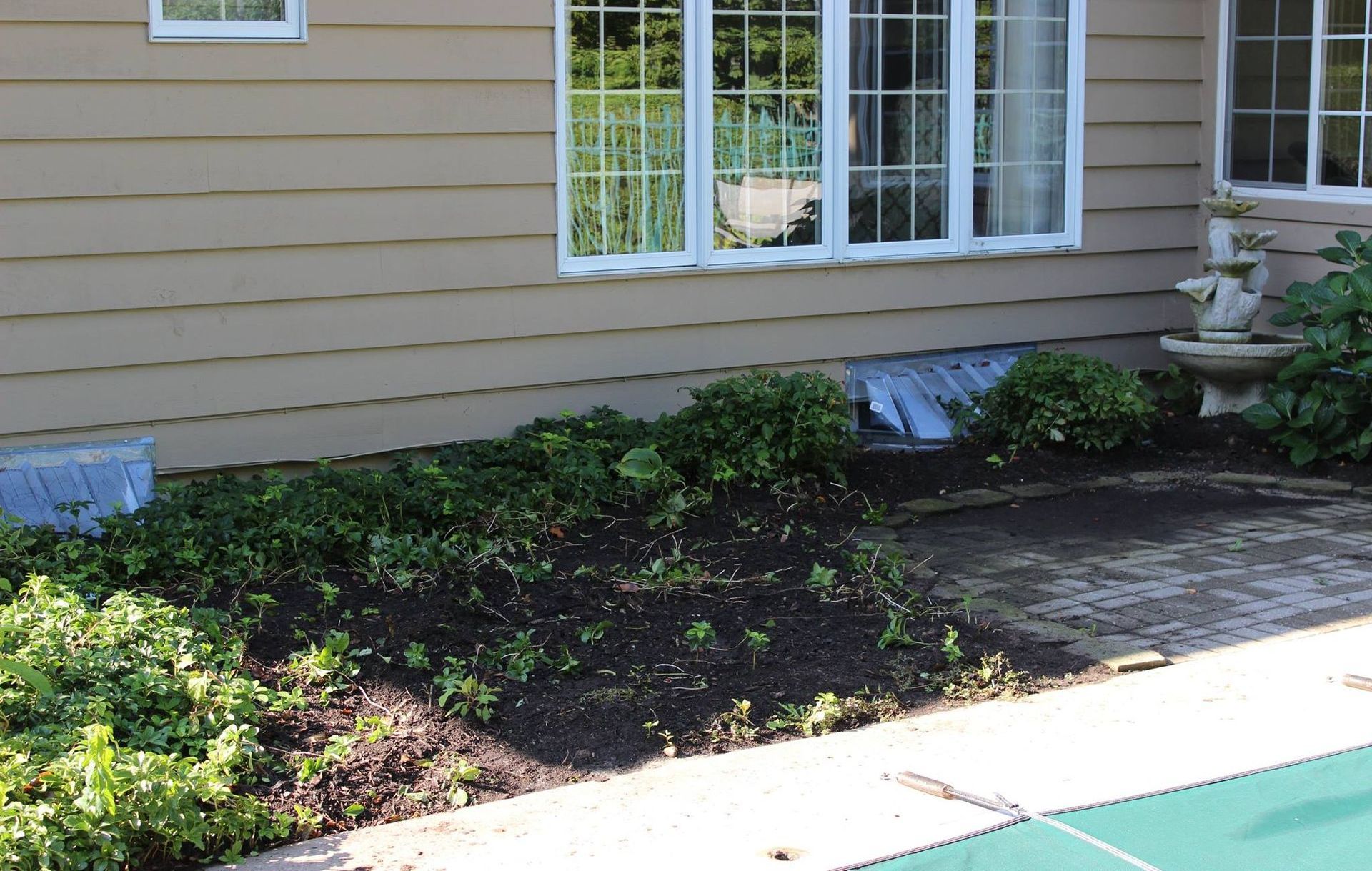Landscape Before