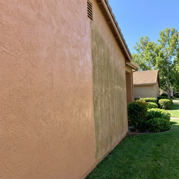 Pink stucco house wall beside a green lawn, shrubs, and a tree under a bright blue sky