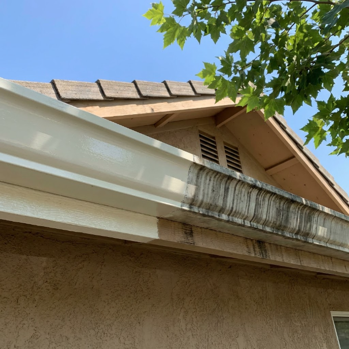 Exterior of a house roof with white trim, weathered gutters, and green leaves against a blue sky