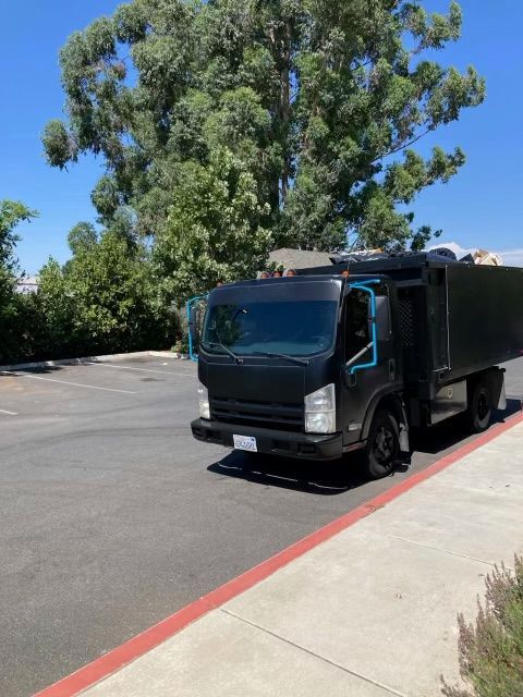 Black garbage truck parked along a curb beside trees under a clear blue sky.