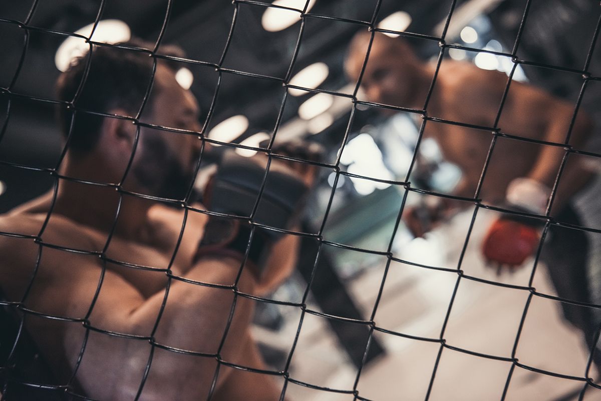 cage fighting MMA