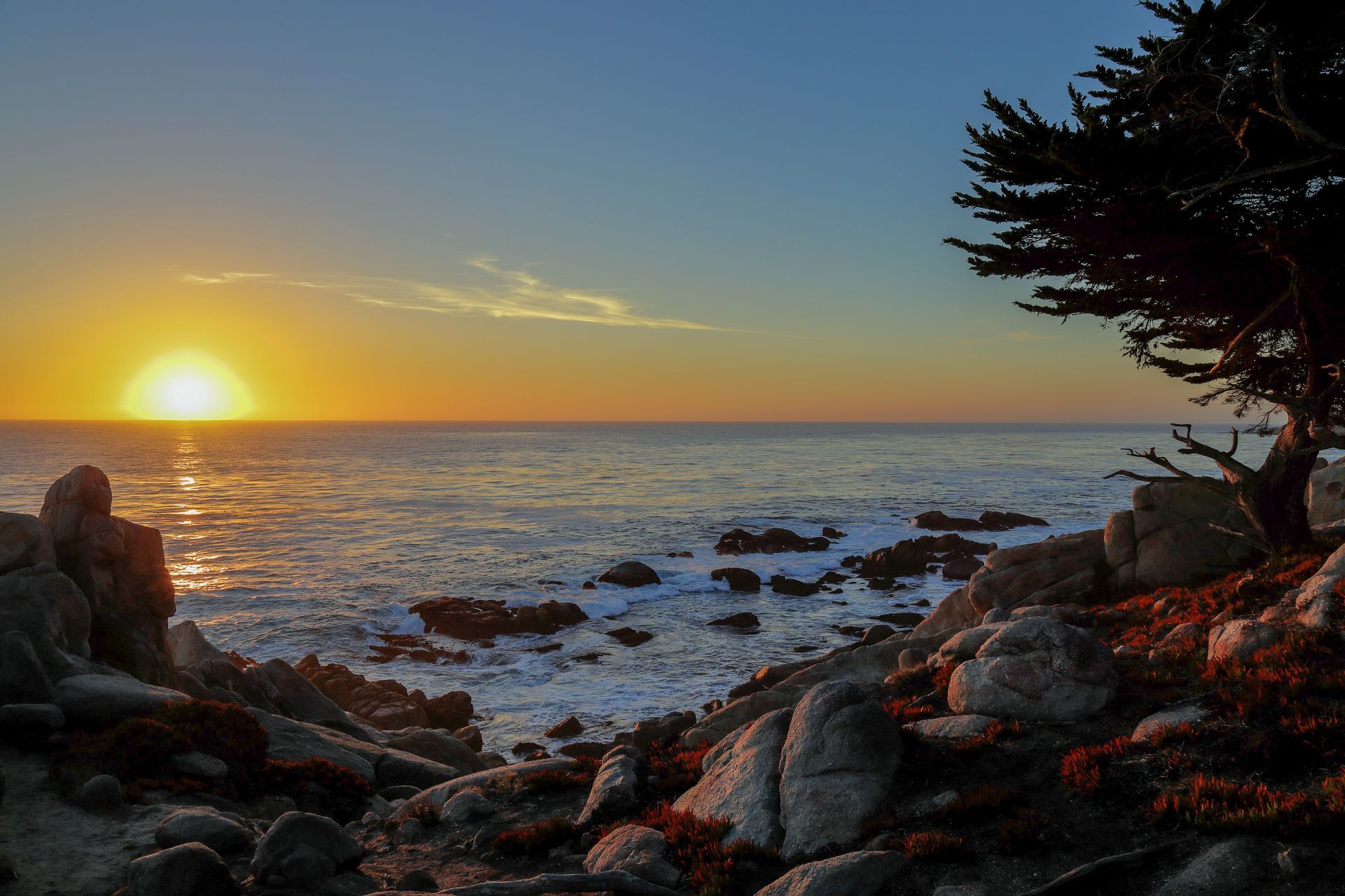 Sunset over a rocky ocean shoreline with waves and silhouetted trees