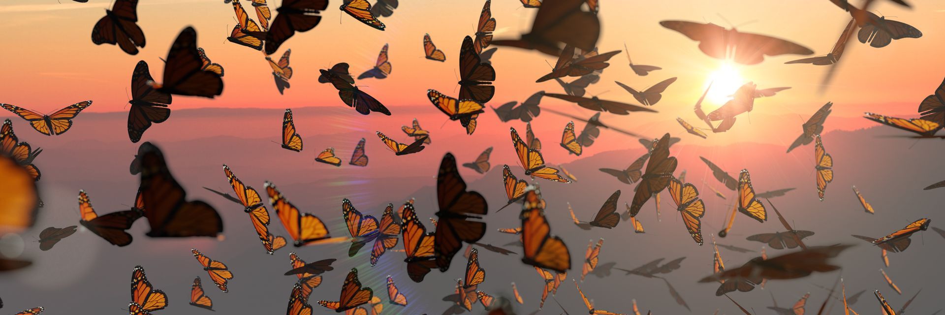 Butterflies and birds silhouetted against a warm orange sunset sky over water