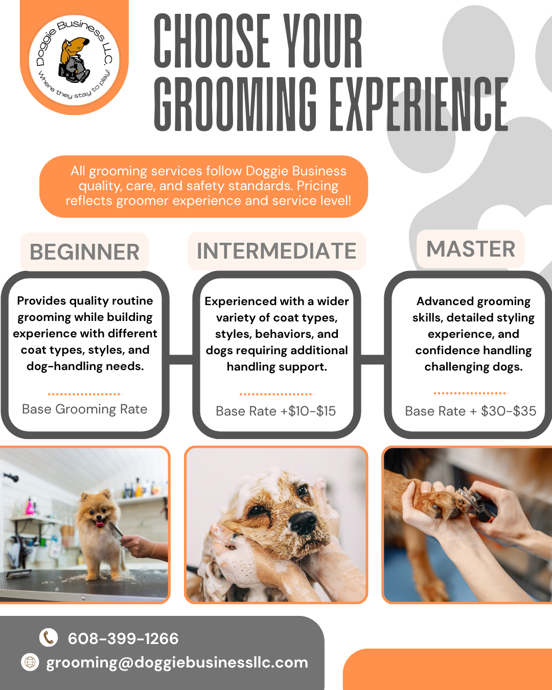 Dog grooming service flyer with Beginner, Intermediate, and Master grooming packages and pricing