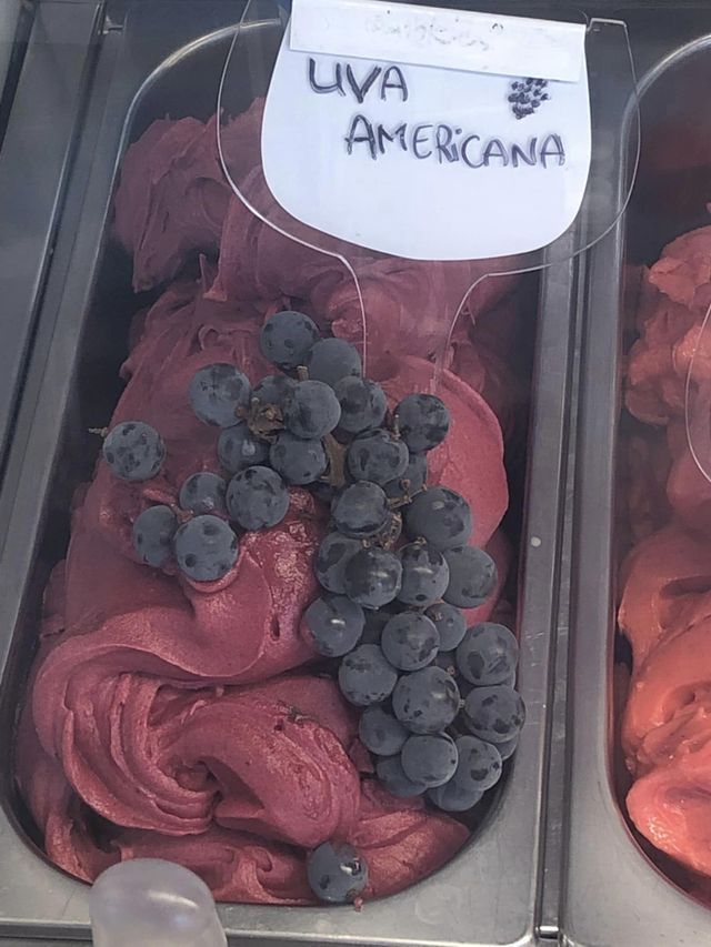 uva americana