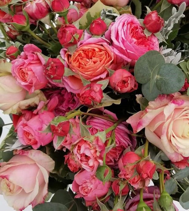 Bouquet di rose rosa, color pesca e corallo con foglie di eucalipto.