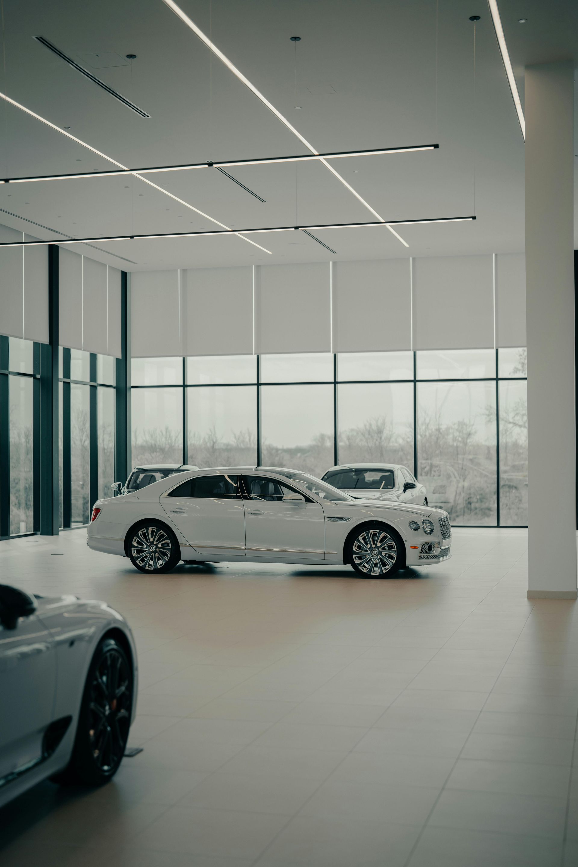 White luxury cars displayed inside a bright showroom with large windows overlooking a snowy scene.