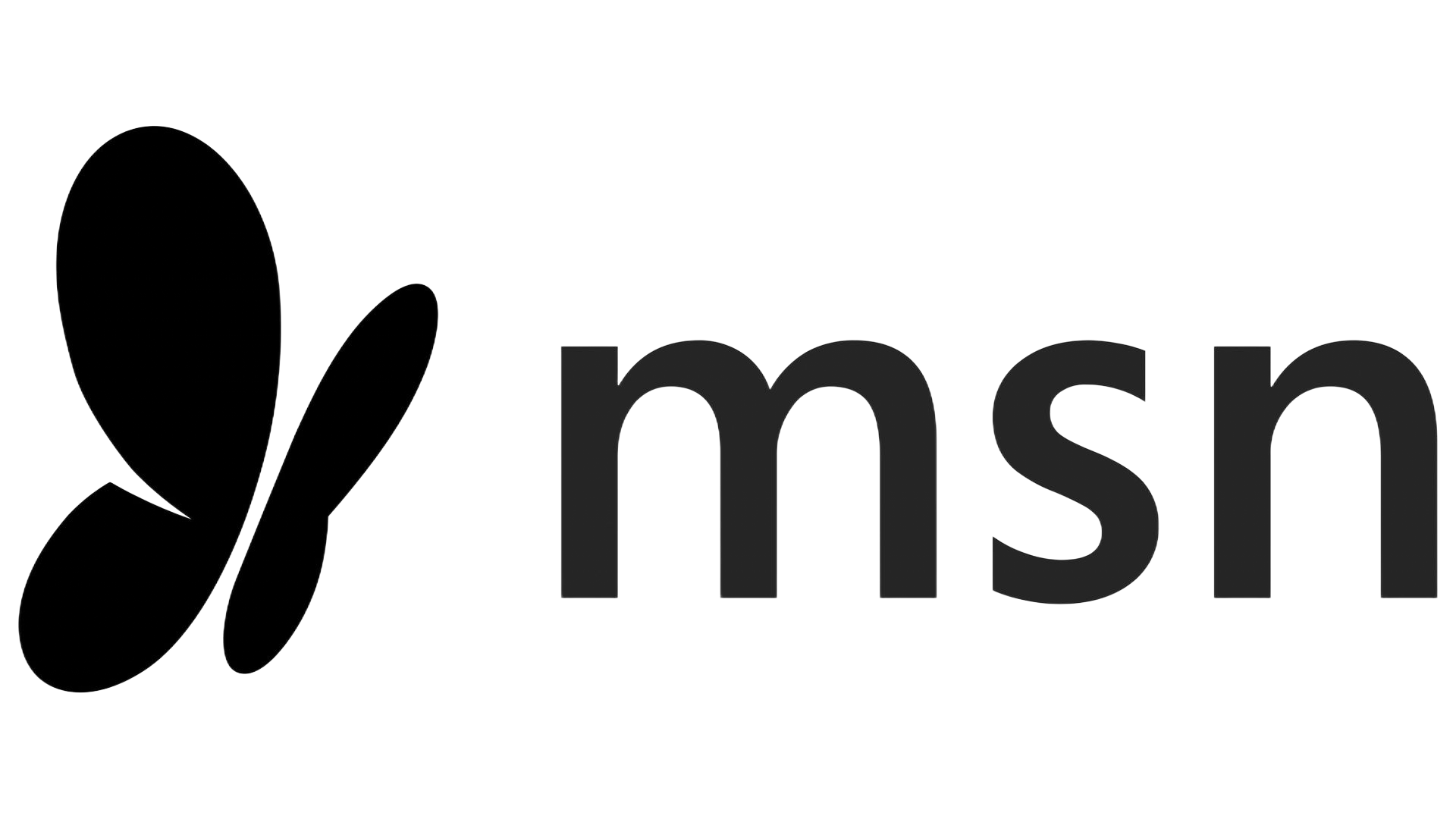 msn logo