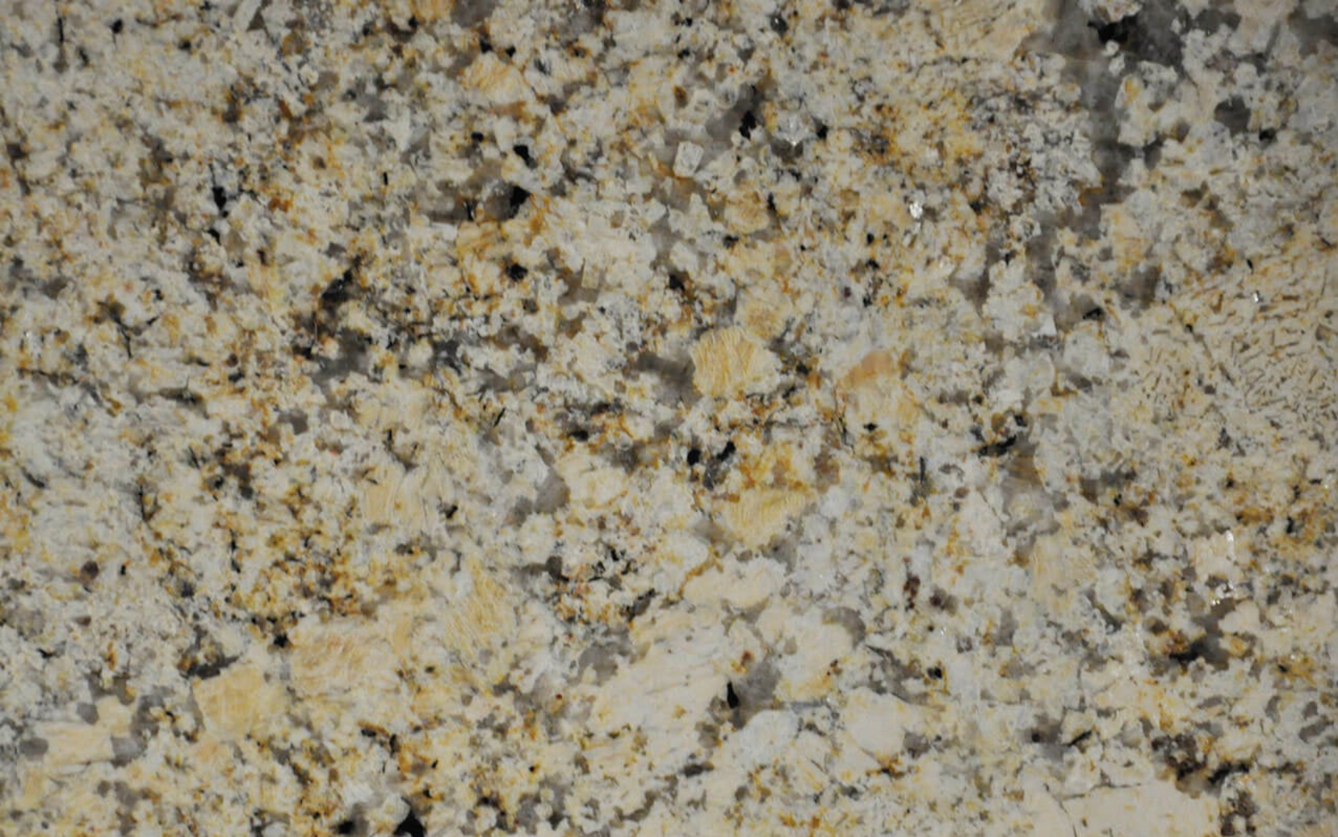 Close-up of beige and gray speckled stone or granite surface with dark flecks