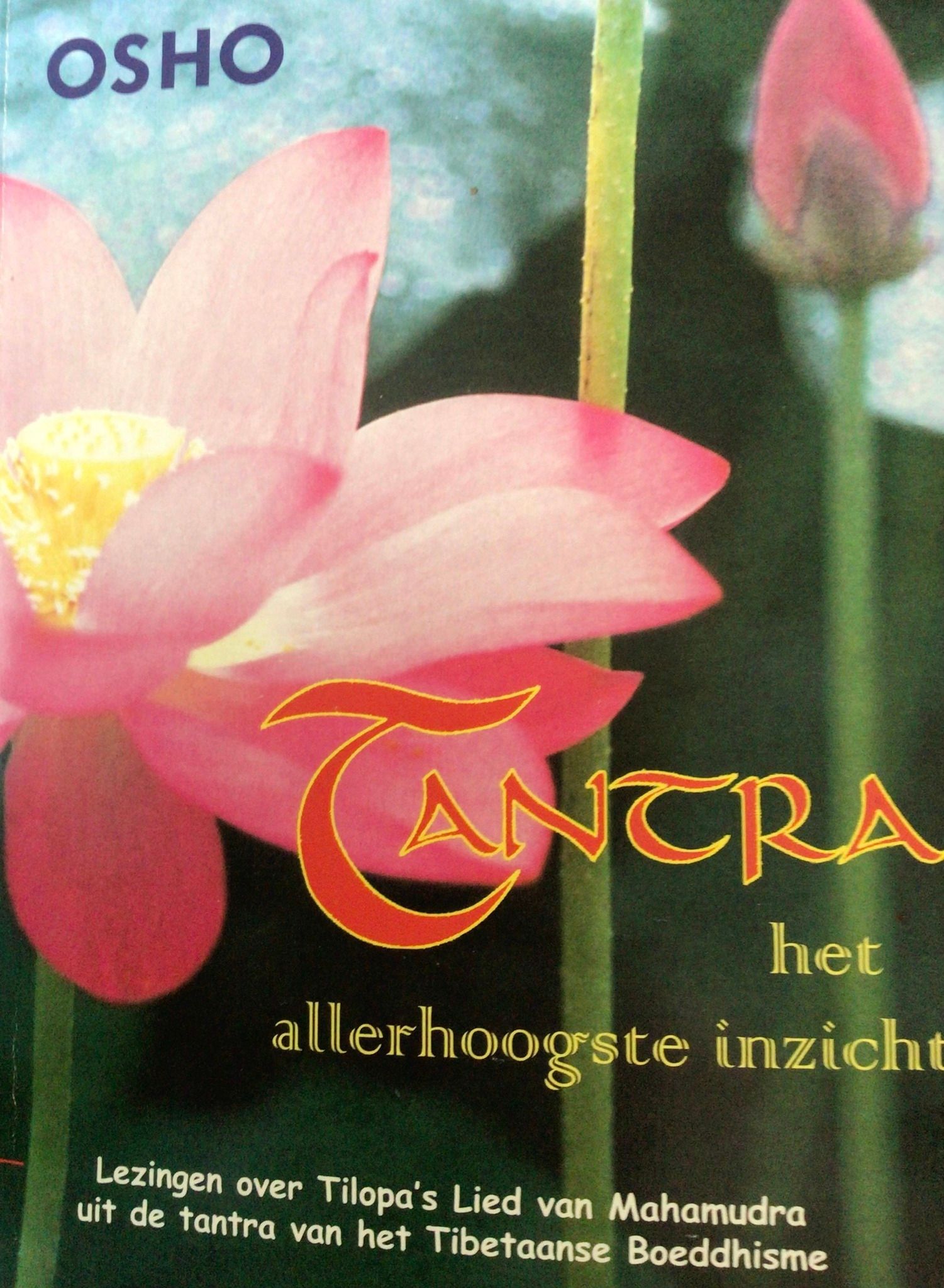 Book cover: pink lotus flower, title
