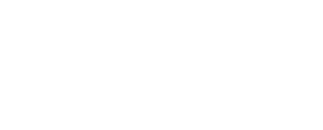 Lifetime Video Productions
