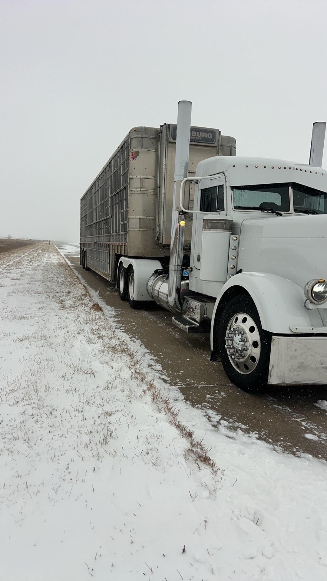 White semi-truck with trailer parked on a snowy roadside under an overcast sky.