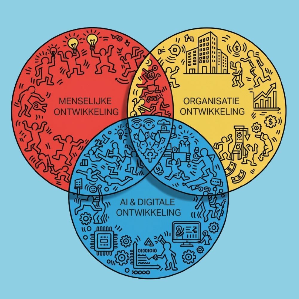 Diagram met drie overlappende blauwe cirkels: Organisatiedynamiek, Persoonlijke ontwikkeling en Schaduwdynamiek. Cirkelvormige pijlen geven interacties weer.