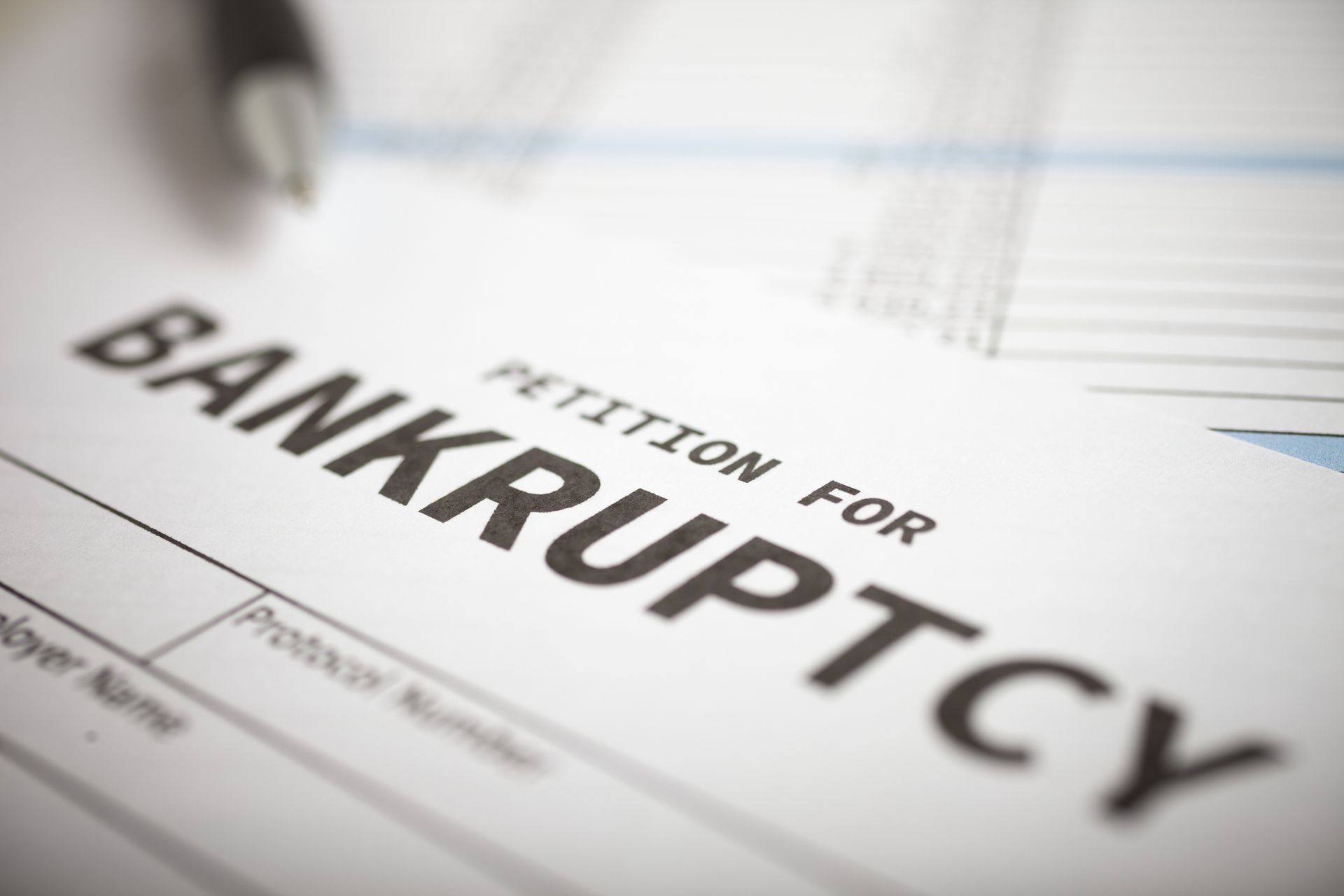 Petition for Bankruptcy — Spokane, WA — Deissner Law Office