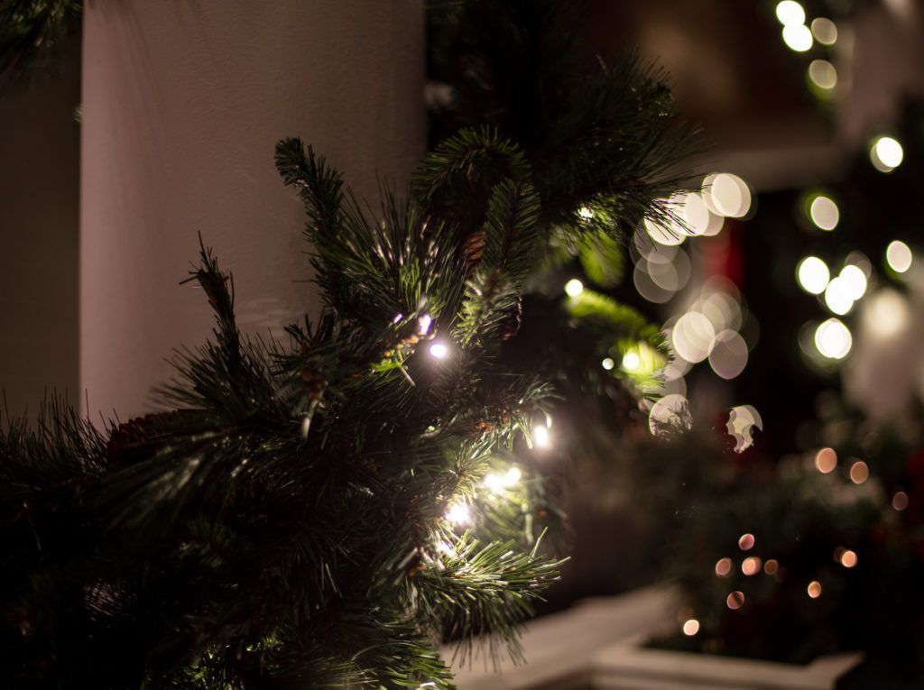 A close up of a christmas tree with lights on it.