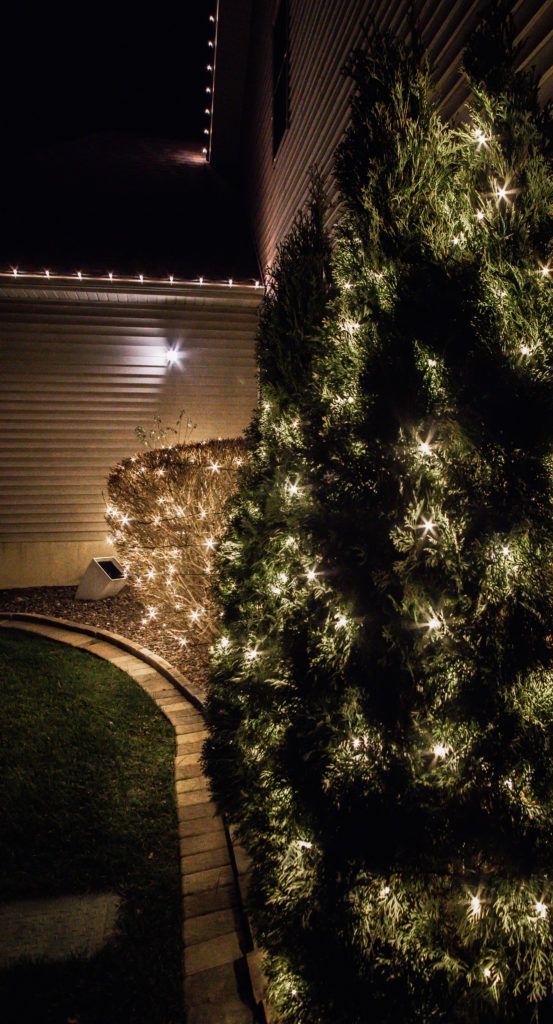 A christmas tree is lit up at night in front of a house.