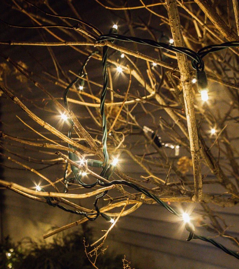 A string of lights hanging from a tree at night