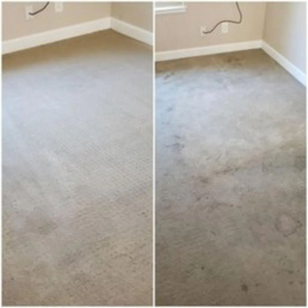 Side-by-side view of a carpeted room before and after cleaning, showing a lighter cleaned area and a stained area.