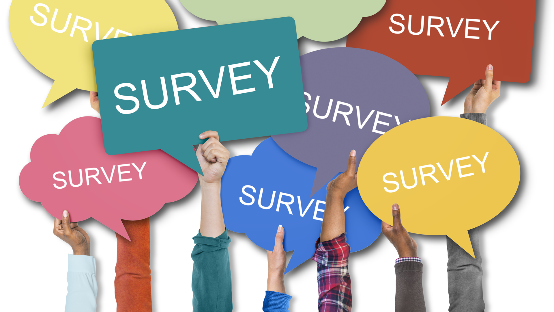 Diversity, Equity, & Inclusion Survey