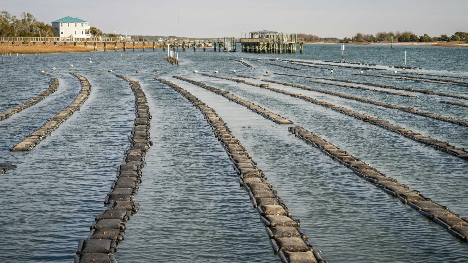 New York Invests $4.2 Million in Long Island Aquaculture, Strengthening Local Economies and Coastal Communities