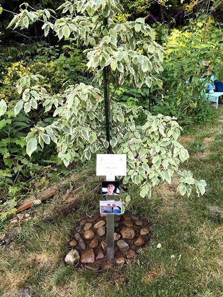 memorial tree