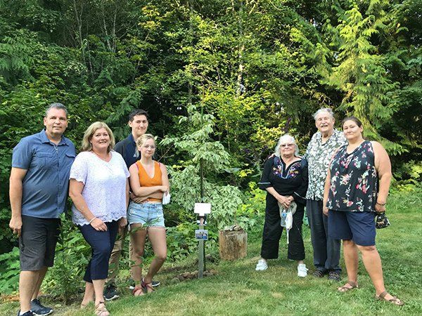 tree planting