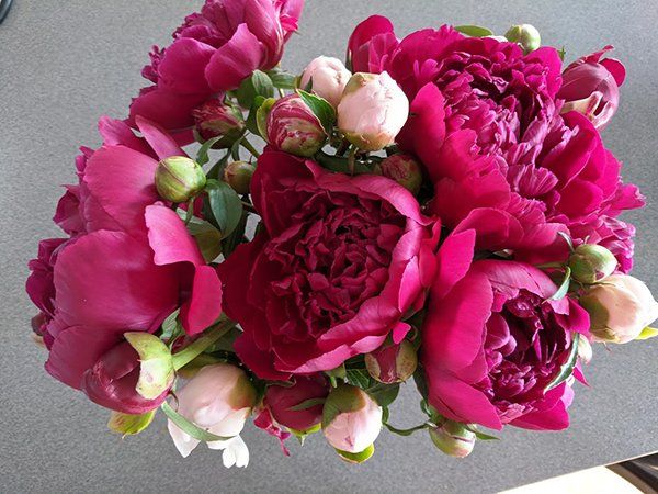 flowers