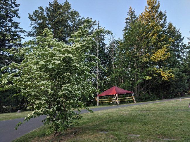 site of future memorial bench