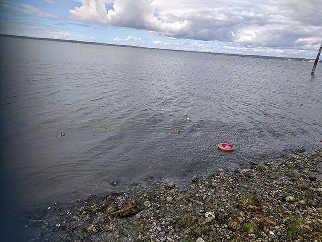 flowers in ocean