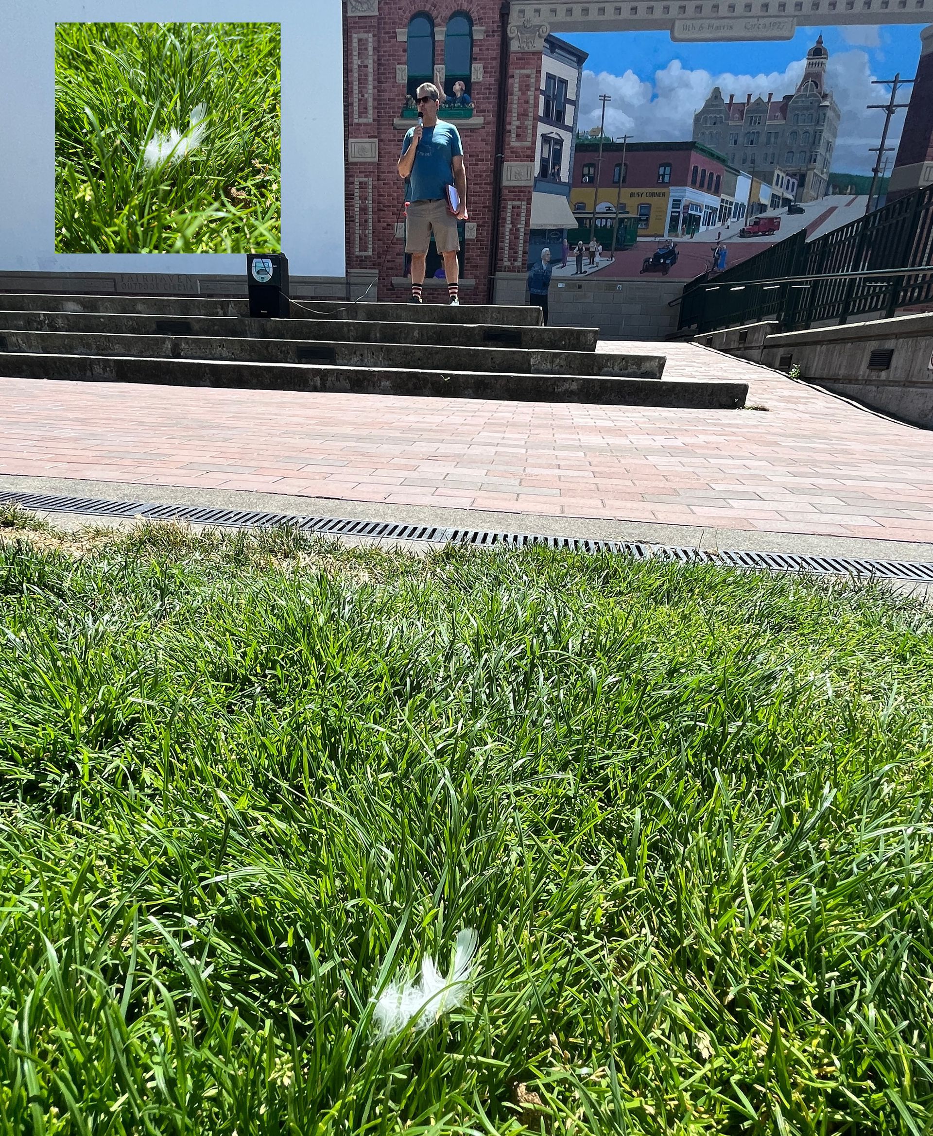 white feather
