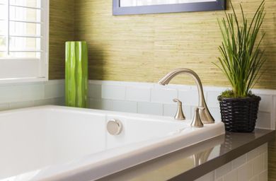plant pot near the sink