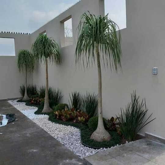 ARTE EN PLANTAS