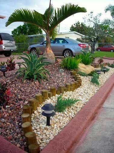 ARTE EN PLANTAS