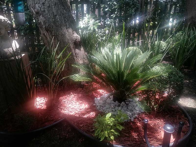 ARTE EN PLANTAS