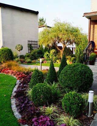 ARTE EN PLANTAS