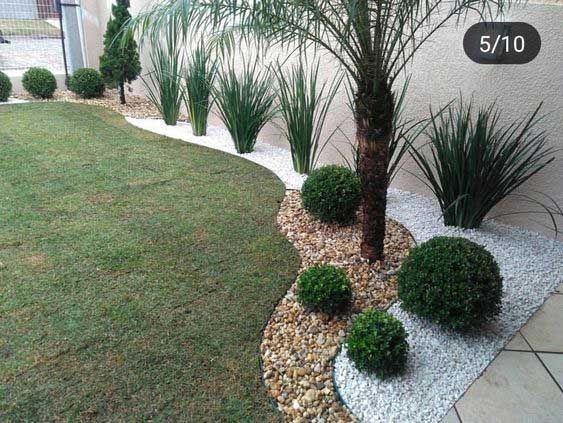 ARTE EN PLANTAS