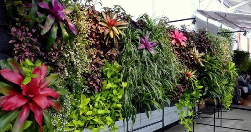 ARTE EN PLANTAS